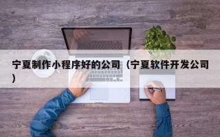 萍乡宁夏制作小程序好的公司（宁夏软件开发公司）